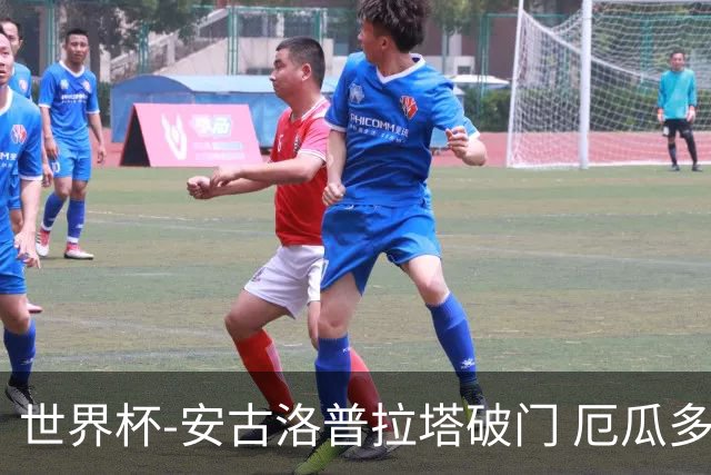 世界杯-安古洛普拉塔破门 厄瓜多尔2-1逆转德国出线