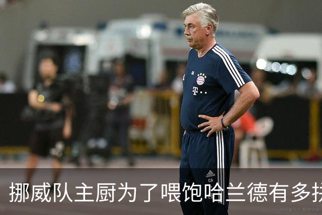 挪威队主厨为了喂饱哈兰德有多拼？他每天要补充6000卡路里热量，进入淘汰赛后球队紧急订购食材