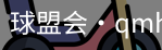 球盟会